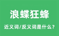 浪蝶狂蜂的近义词和反义词是什么