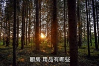 廚房用品有哪些,廚房必備器具有哪些?