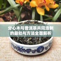 分心木與普洱茶共同泡制的益處與方法全面解析