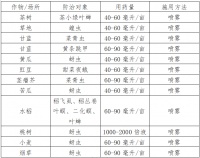 金龜子綠僵菌CQMa421可分散油懸浮劑