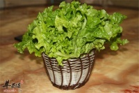 减肥生菜生活中多吃有益健康 胖妹妹们的绿色食材