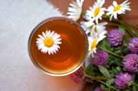 花草茶：自然馈赠的芳香疗愈，解锁健康生活的秘密