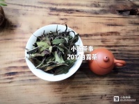 一杯白茶的6种神奇作用，冬令进补不再烦恼！