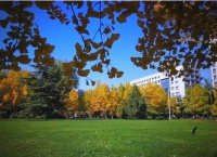 健康与成功的纽带：生活方式与人生目标的重合