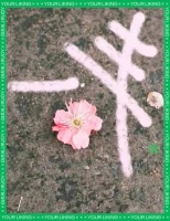 在热爱生活中实现自我价值