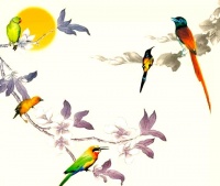 健康生活的艺术与实践：心态、选择与行动指南