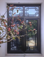 健康生活，成就人生最大成功