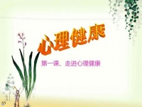 心理健康课