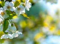 想要健康生活？遵循这些养生秘诀准没错！