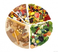 健康生活指南：饮食、锻炼与心理平衡