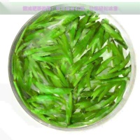 健減肥茶推薦：有效瘦身利器，讓您輕松減重