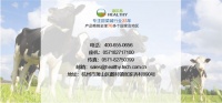 左旋肉碱——燃烧脂肪、提升耐力的科学减脂神器