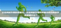 左旋肉碱作用时间曲线，左旋肉碱作用时间曲线背后的科学原理是什么？ – 健康我乐乐