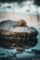 生活中的养生智慧：如何通过改变习惯提升健康