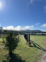 如何通过日常小习惯提升健康生活质量