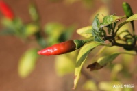 十分钟日常习惯改变你的生活