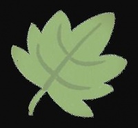 运动与春游：健康生活触手可及