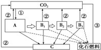 近段时间我国持续出现的雾霾天气.给人们的健康与生活造成了很大影响.其中的罪魁祸首要归咎化石燃料的不良排放.如图为生态系统“碳 元素的循环途径.请回答下列问题:(1)该生态系统中A.B(B1.B2.B3).C共同构成了生物群落．图中食物链是A→B1→B2→B3．(2)碳元素主要通过①绿色植物的光合作用途径进入生物群落.②为生物的呼吸作用.为防止 题目和参考答案——青夏教育精英家教网——