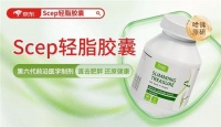 2025年減肥產(chǎn)品哪個(gè)效果好：十大熱門品牌排行榜，誰是科學(xué)瘦身首選