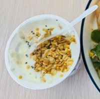 亚麻籽油拌无糖酸奶：巴德维疗法的核心食谱 – 果夏生活