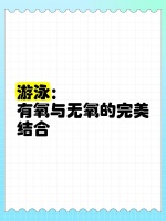 游泳：有氧与无氧的完美结合 ♂️