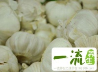 火鍋配菜大全 吃火鍋就選這些配菜