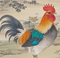 ️夏日轻食便当