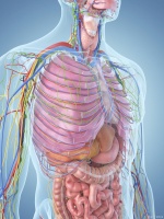 这些生活习惯可能悄悄伤害你的胸腔——胸外科医生的日常保健建议