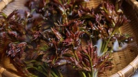 產(chǎn)后瘦身菜譜 合理又營(yíng)養(yǎng)成分