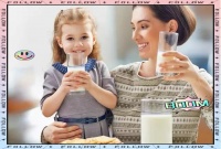 探索最佳生活时间，提升健康效率