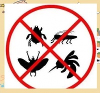 世界害虫日：科学防制策略及健康生活指南