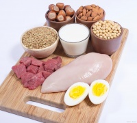 营养调节，健康生活的秘密武器！