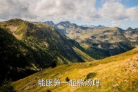 筍干香菇湯怎么做好吃,竹筍菌菇價格
