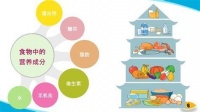 【滔滔顧問】揭穿 “偽均衡”：避開這些坑，讓營養(yǎng)真的 “到位”