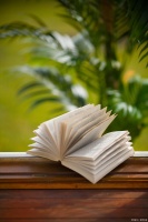 元旦健康特辑：新年新目标，健康生活从现在开始