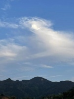 油切大肚茶：享受减肥与生活的双重乐趣