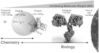 【科學(xué)普及】生物活性肽——有待繼續(xù)開發(fā)的藥物寶庫