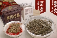 全身推拿之全方位呵護：揭秘人體各部位按摩技巧