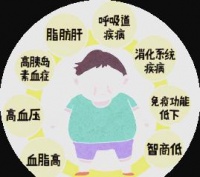 科学体重管理：健康生活的基石