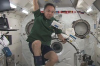 生活在空间站的宇航员身体发生了什么变化？