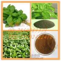 羅勒提取物 圣羅勒提取物 圣羅勒浸膏粉