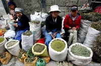 西藏之旅，不可錯過的土特產(chǎn)寶藏