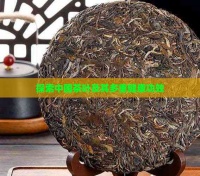探索中國茶葉及其多重健康功效
