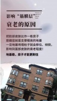 韓國瘦身神器：Serybox西梅飲的秘密