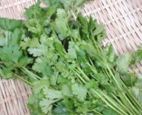 香菜營養(yǎng)知識介紹