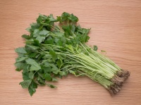 香菜立大功！醫(yī)生發(fā)現(xiàn)：經(jīng)常吃香菜的人，或有幾變化