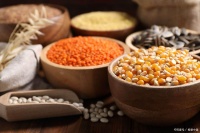 摆脱亚健康状态！科学生活习惯帮你重回轻松有活力的人生