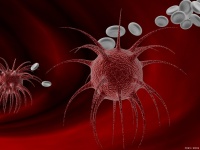 如何通过饮食和生活方式保持身体健康并抵御炎症