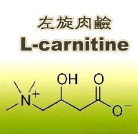 左旋肉碱的奥秘：特性与应用全解析