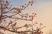 培养良好睡眠习惯，保持健康生活方式